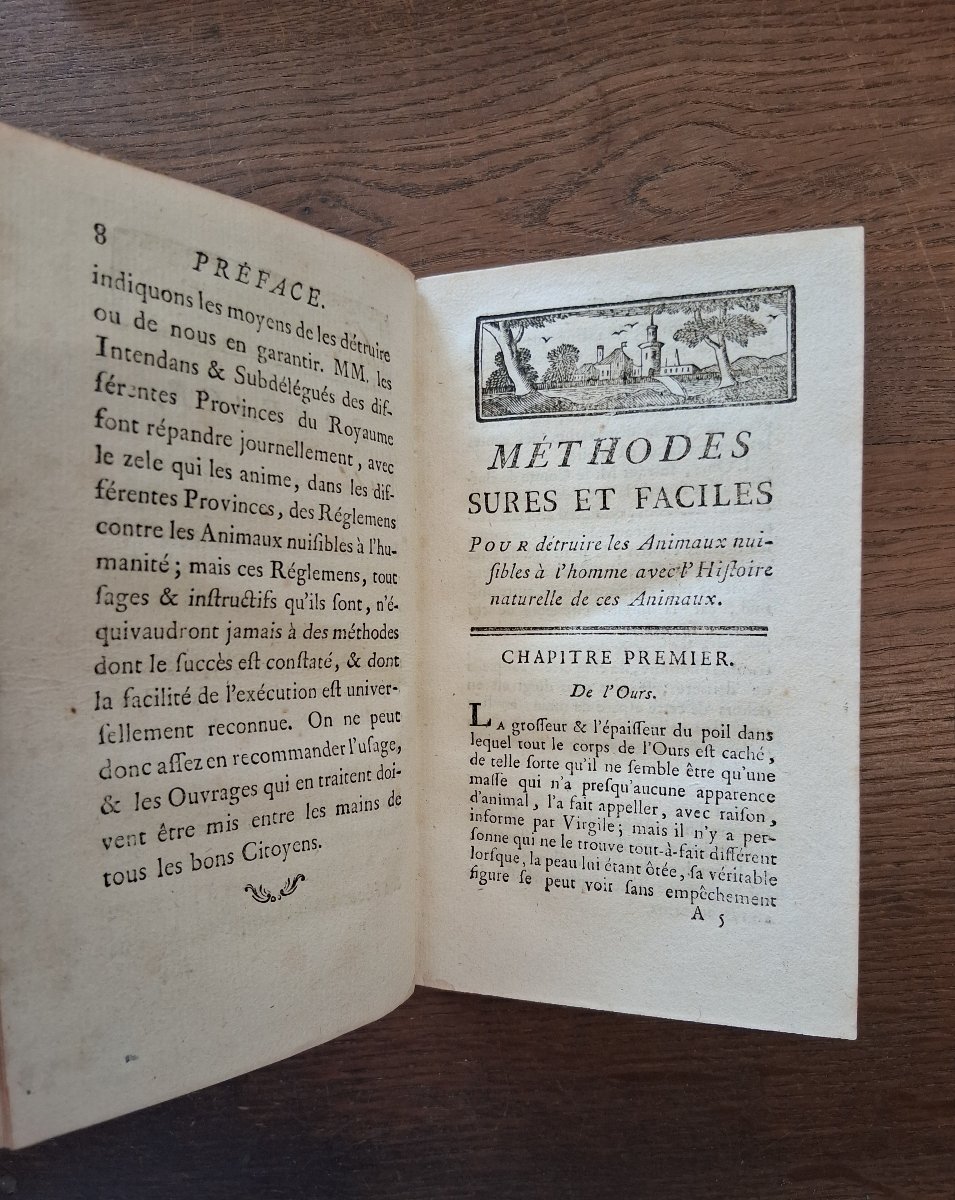 Safe And Easy Ways To Get Rid Of Pests   /  1783-photo-2
