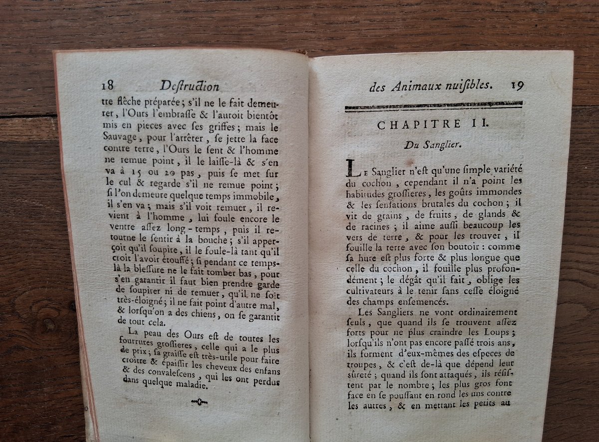 Safe And Easy Ways To Get Rid Of Pests   /  1783-photo-3