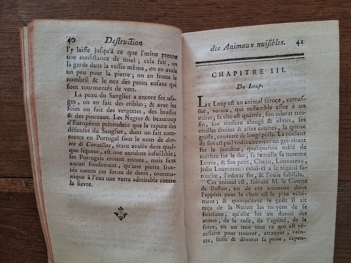 Safe And Easy Ways To Get Rid Of Pests   /  1783-photo-4