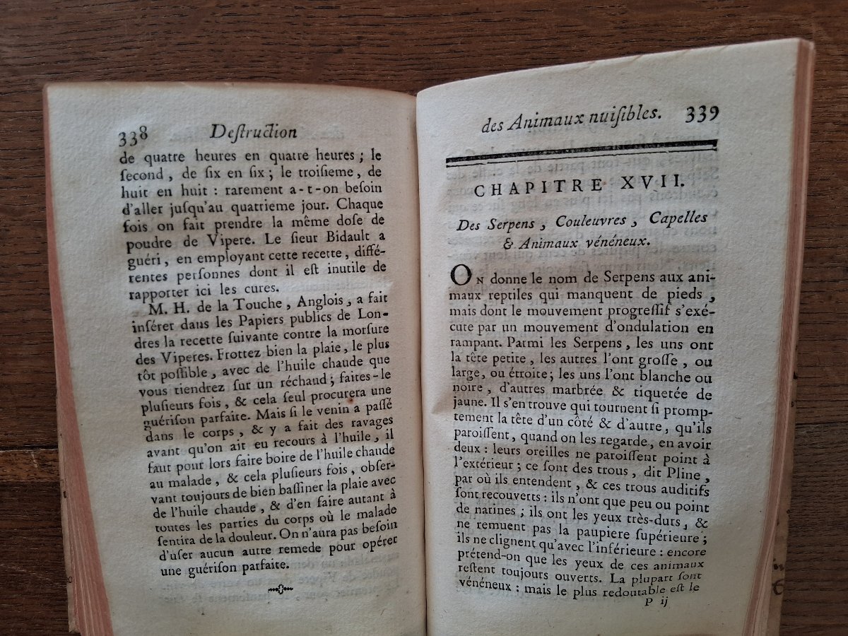 Safe And Easy Ways To Get Rid Of Pests   /  1783-photo-2