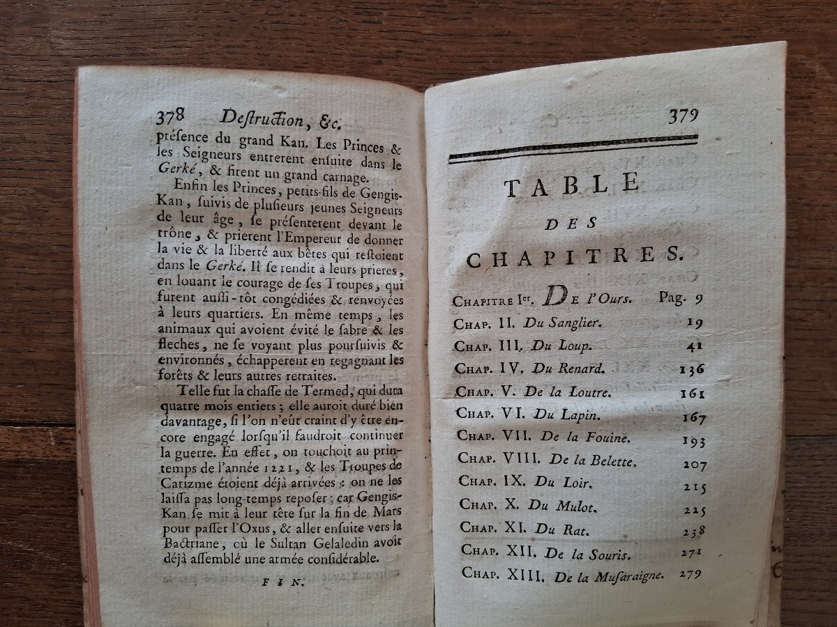 Safe And Easy Ways To Get Rid Of Pests   /  1783-photo-4