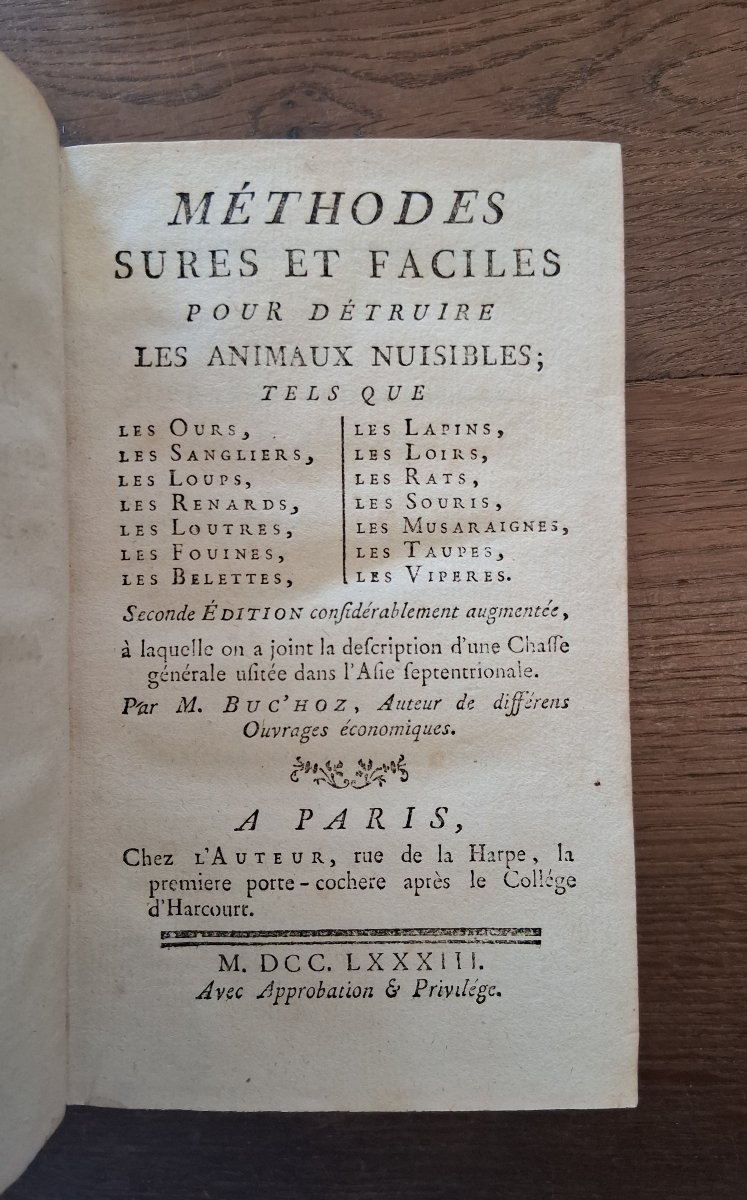 Safe And Easy Ways To Get Rid Of Pests   /  1783