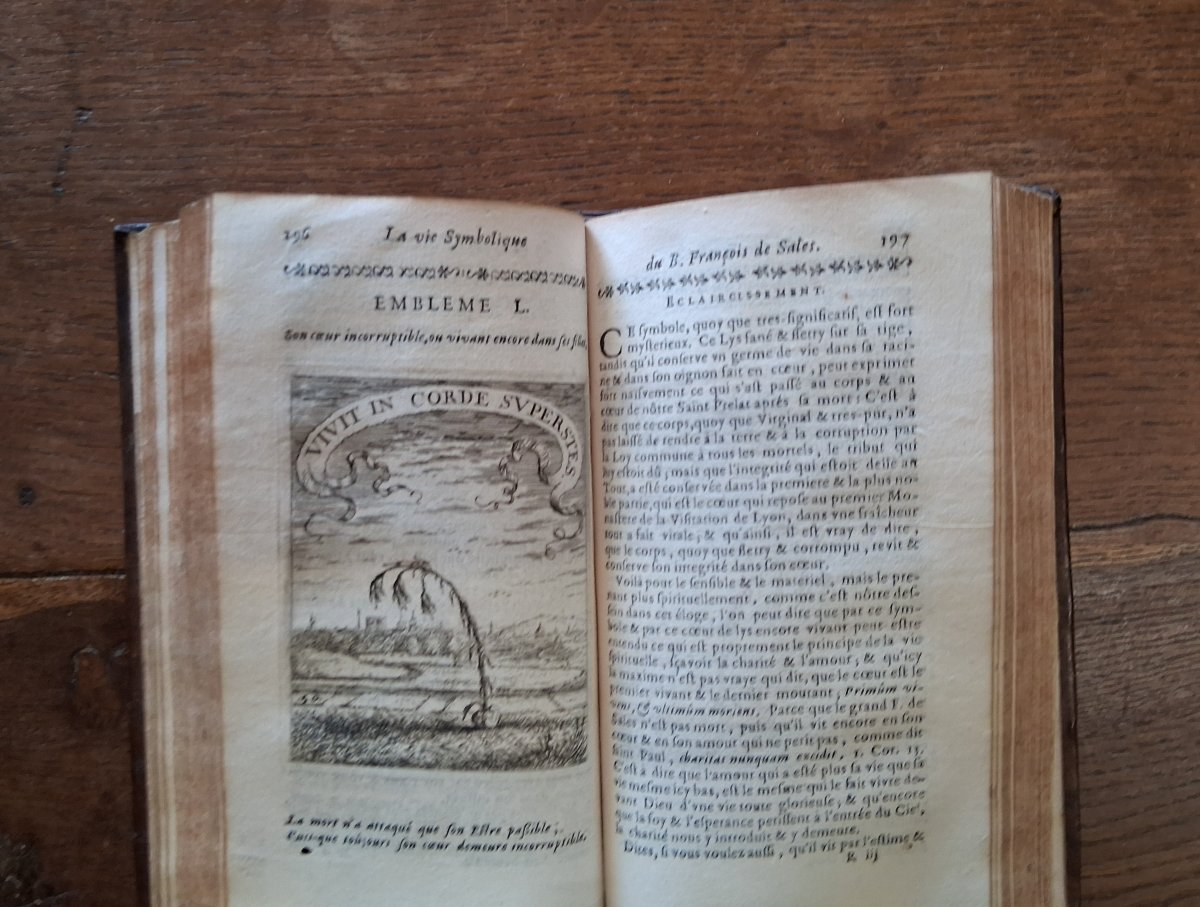 La vie symbolique de saint François de Sales  / 1672-photo-2