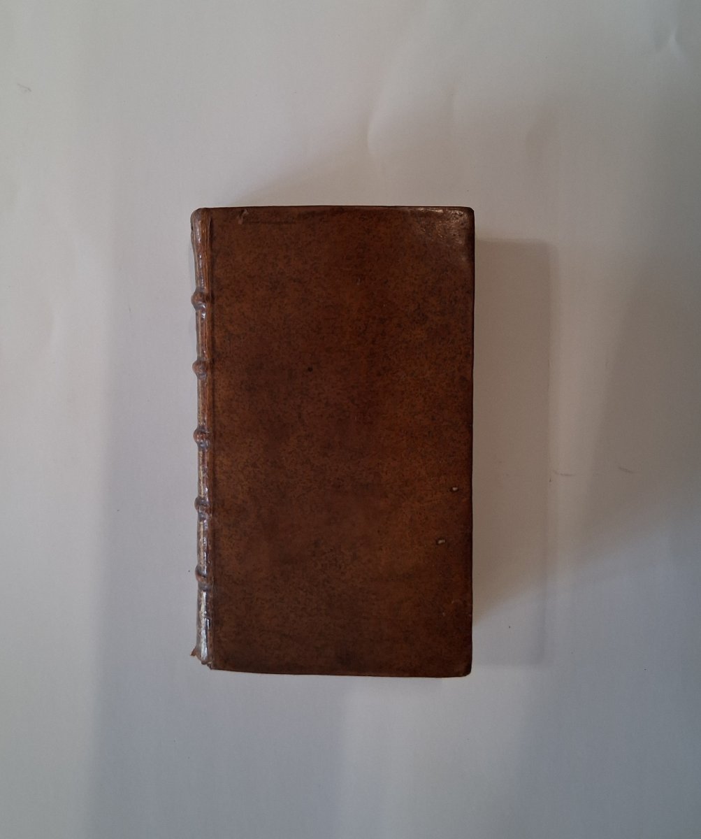 La vie symbolique de saint François de Sales  / 1672-photo-7