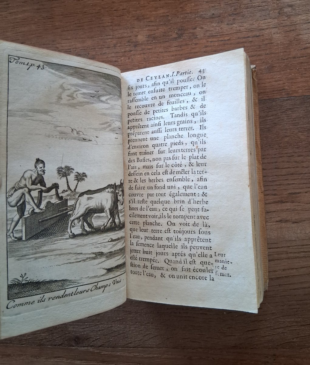 Account Or Journey To The Island Of Ceylon / 1693-photo-4