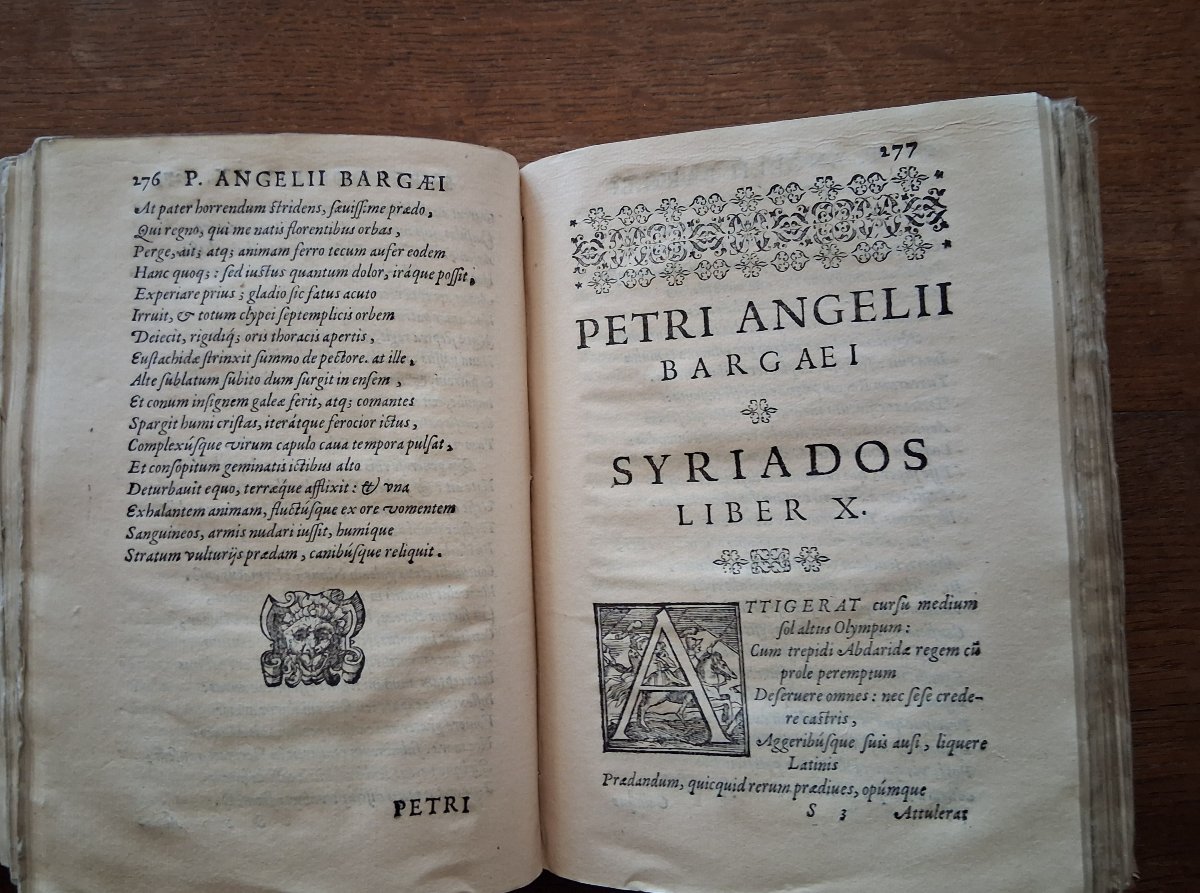 *syrias* By Petri Angelii Bargaei  /  1591-photo-2