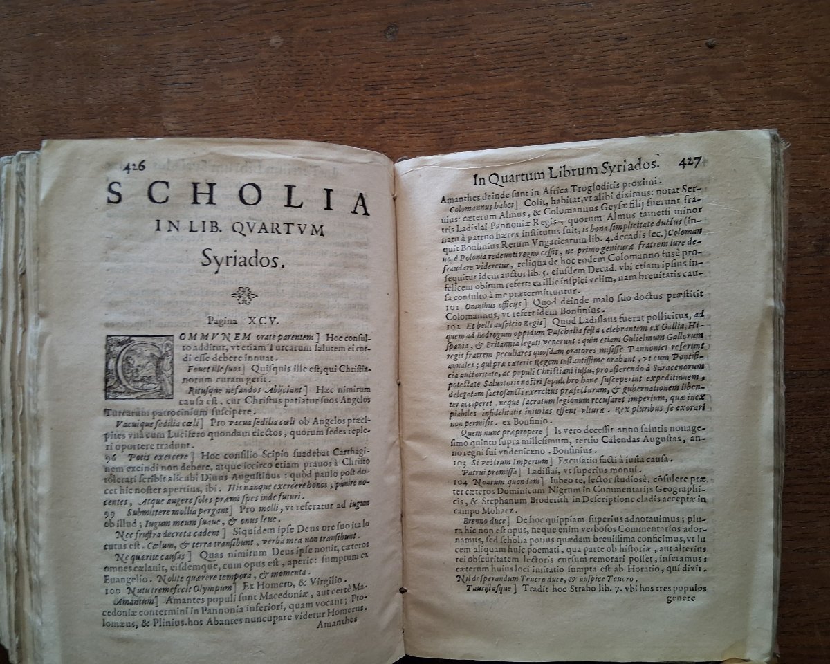 *syrias* By Petri Angelii Bargaei  /  1591-photo-5
