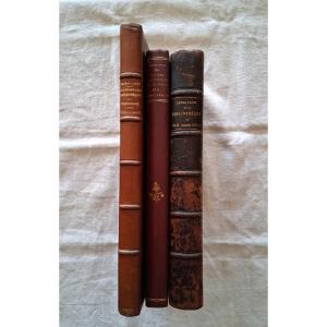Set Of 3 Books On Bibliographies / 19th Century