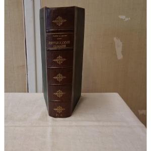 Elementary Treatise On Human Physiology / 1894