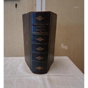 Premiere-Image-1696392