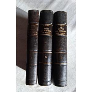 Medical And Surgical Review Of Women's Diseases / 1880