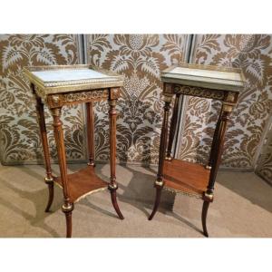 2 Mahogany Saddles / 19th Century