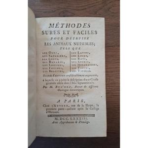 Safe And Easy Ways To Get Rid Of Pests / 1783