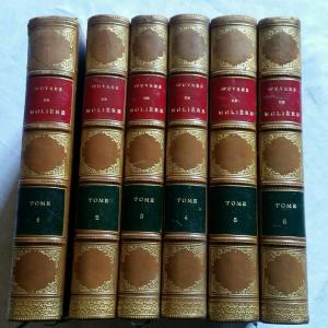 939257-main-626eca6b6a43a.jpg
