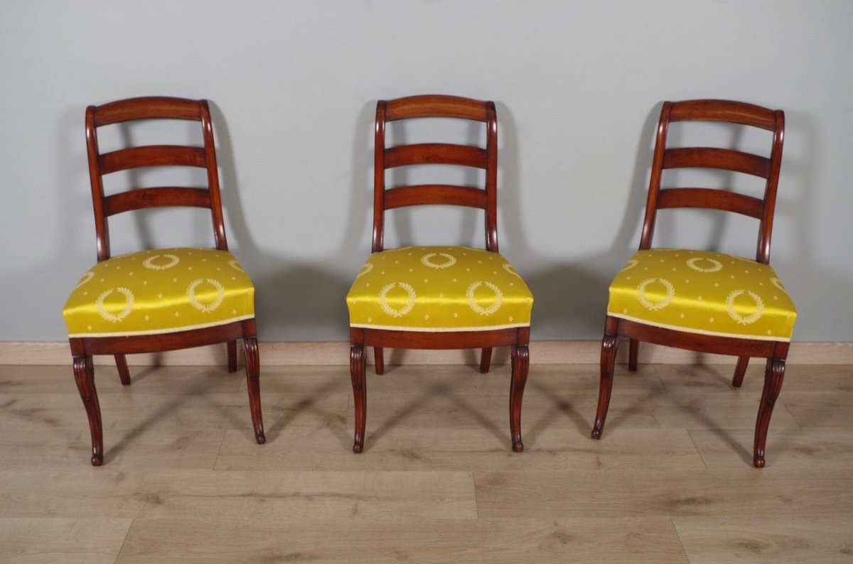 Six Restoration Period Chairs-photo-2