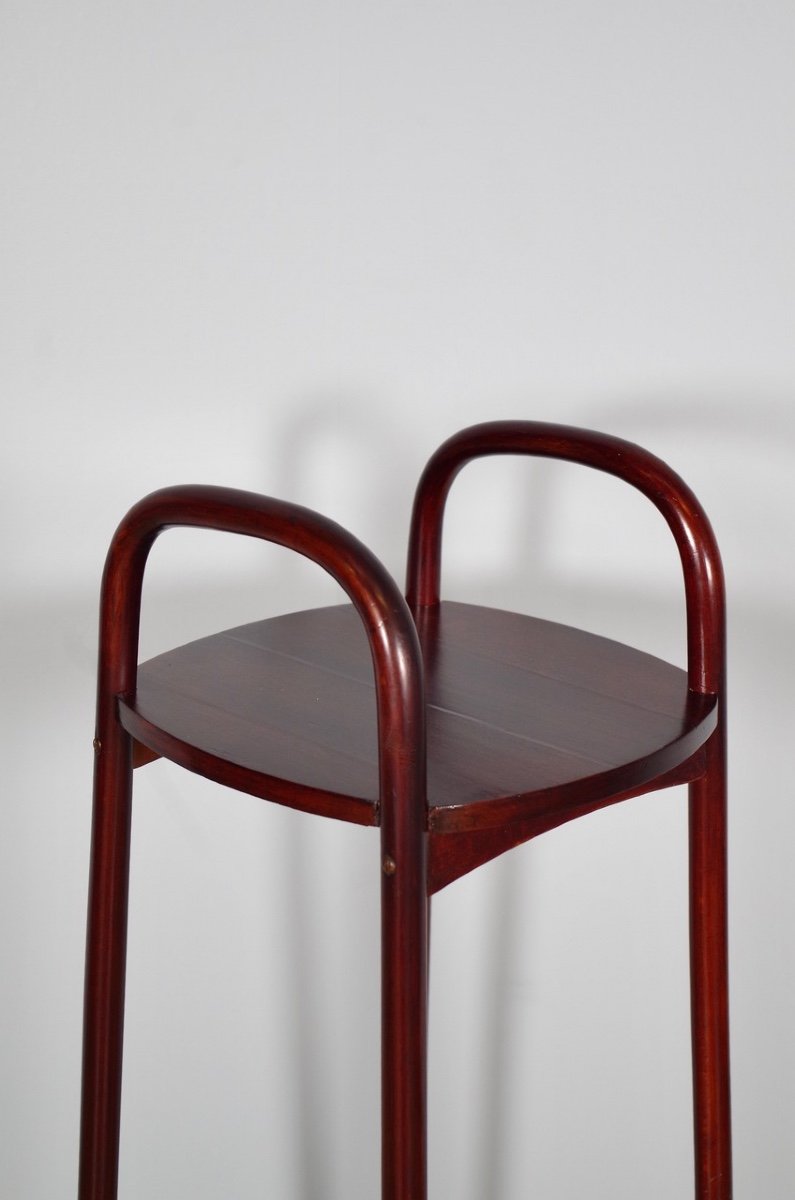 Hoffmann And Thonet: Bentwood Harness-photo-2