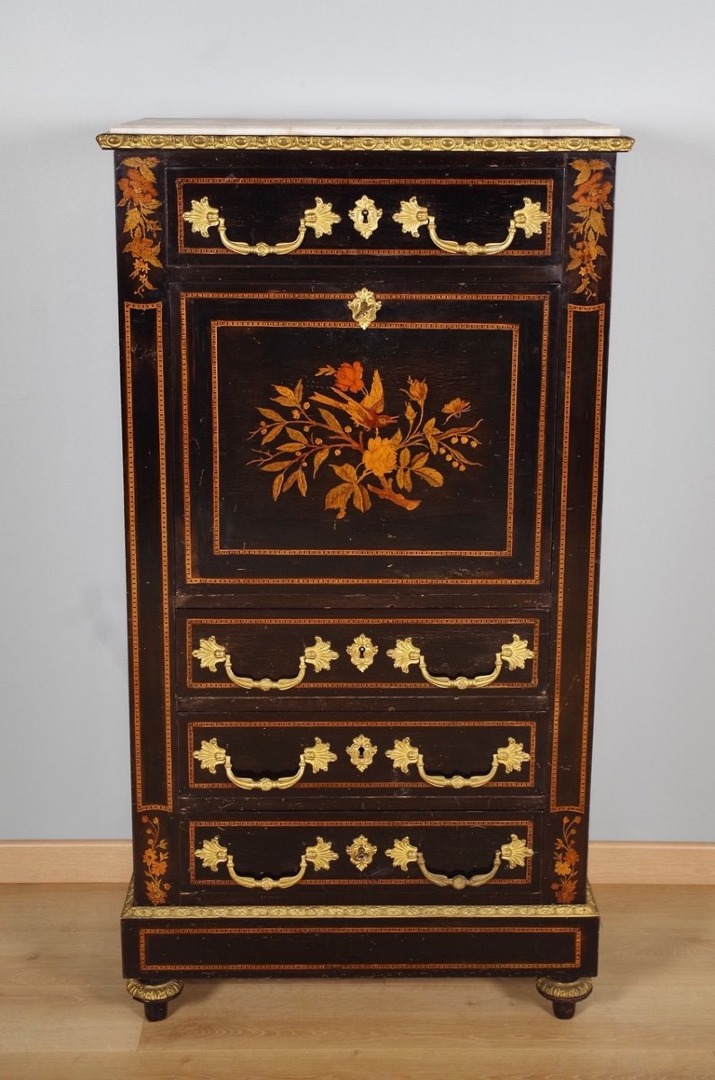 Secretary Napoleon III