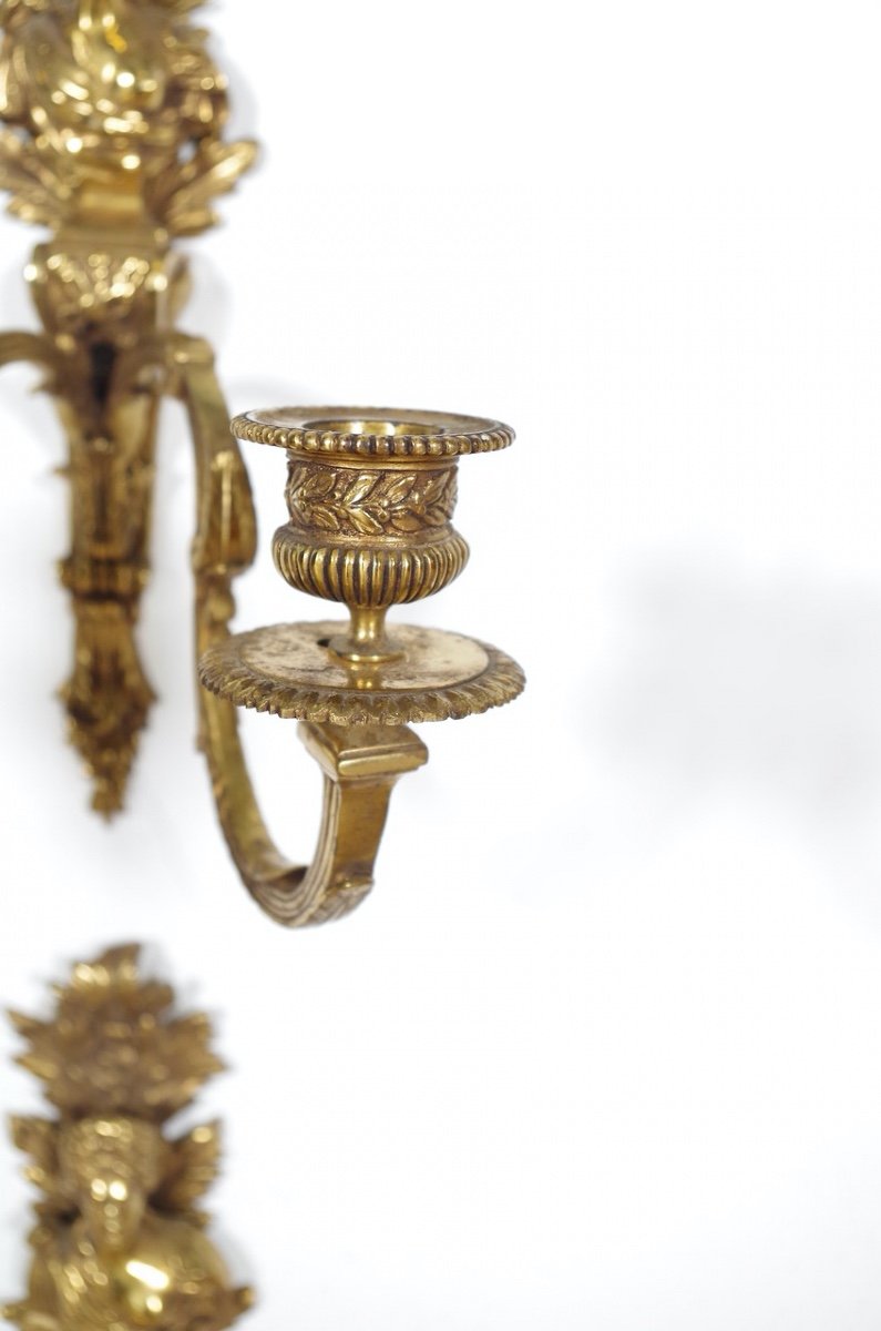 Four Louis XVI Style Gilt Bronze Wall Lights-photo-4