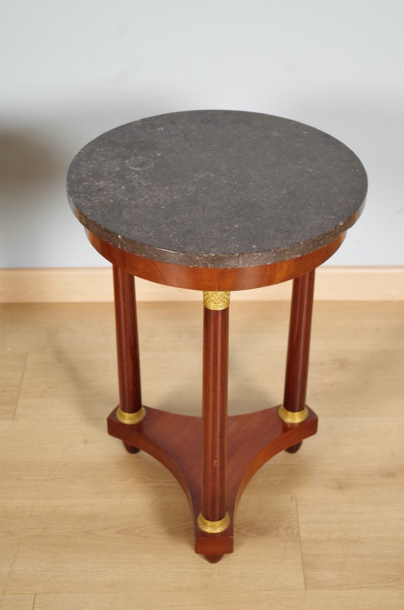 Pair Of Empire Style Pedestal Tables-photo-3