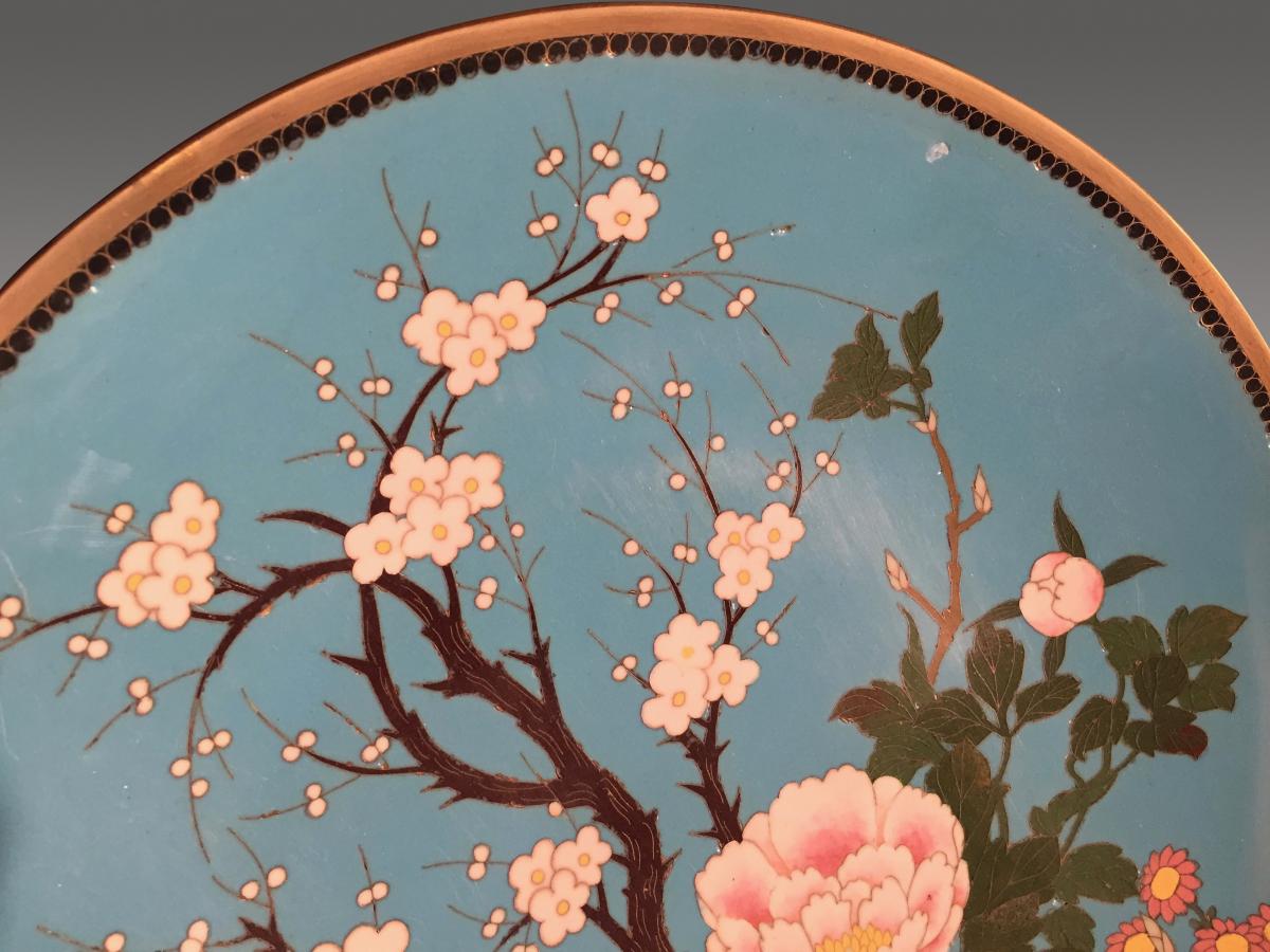 Assiette en Cloisonné Japon Fin XIXe Siècle-photo-3