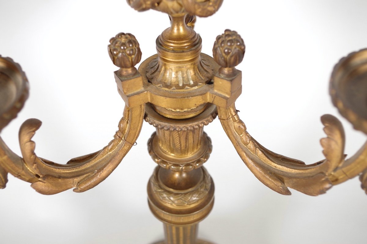 Pair Of Louis XVI Style Candelabra-photo-4