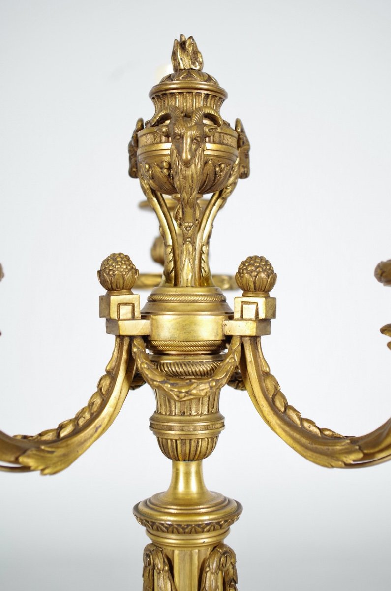 Louis XVI Style Candelabra Gilt Bronze-photo-5