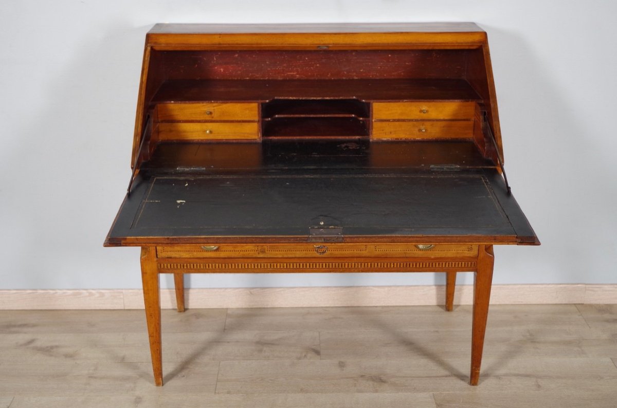 Louis XVI Sloping Desk-photo-2