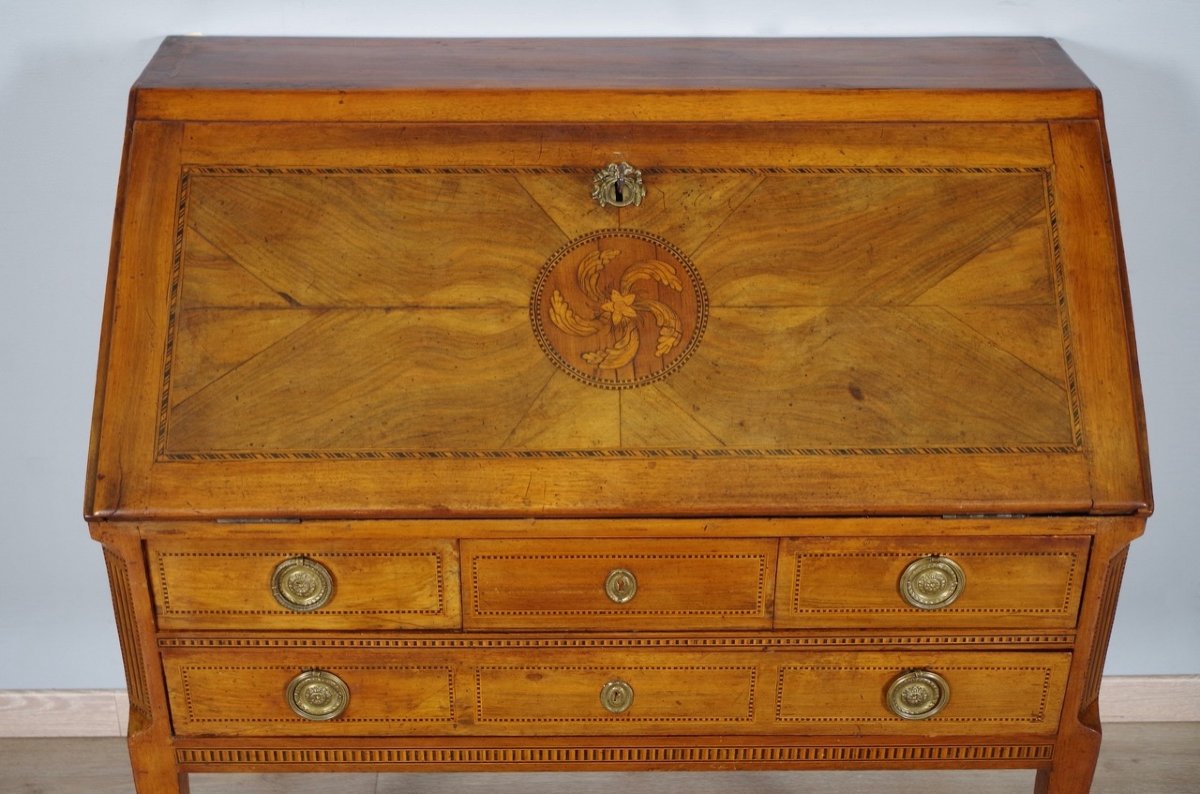 Louis XVI Sloping Desk-photo-3