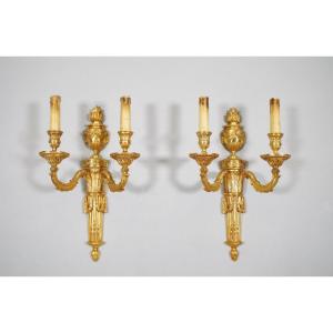 Louis XVI Style Gilt Bronze Sconces