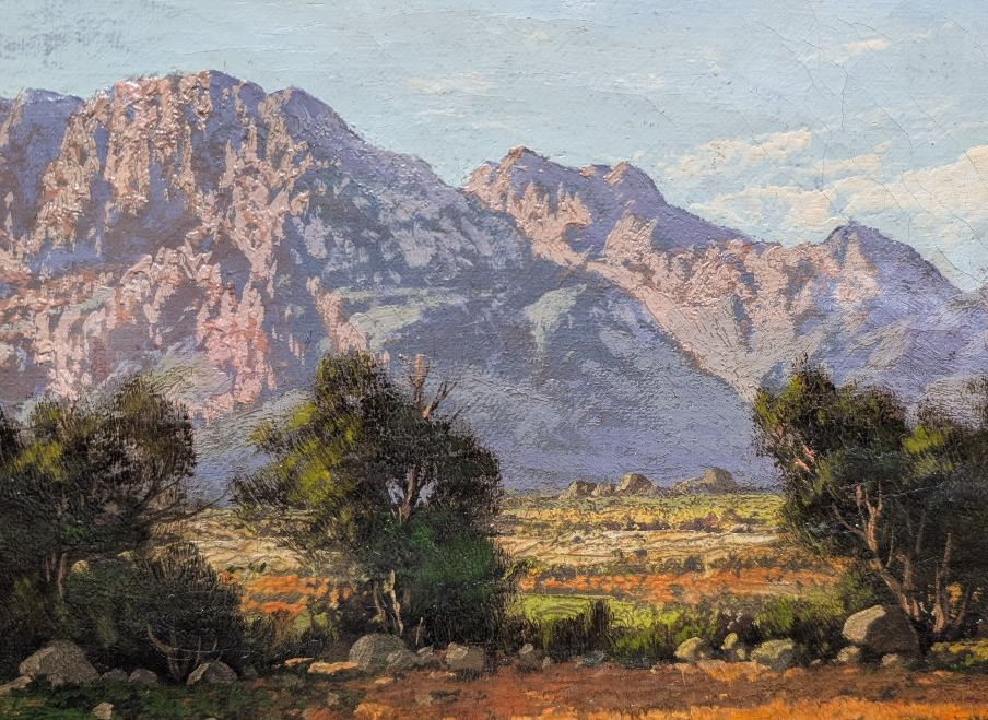 South African Mountain Tinus De Jongh-photo-2