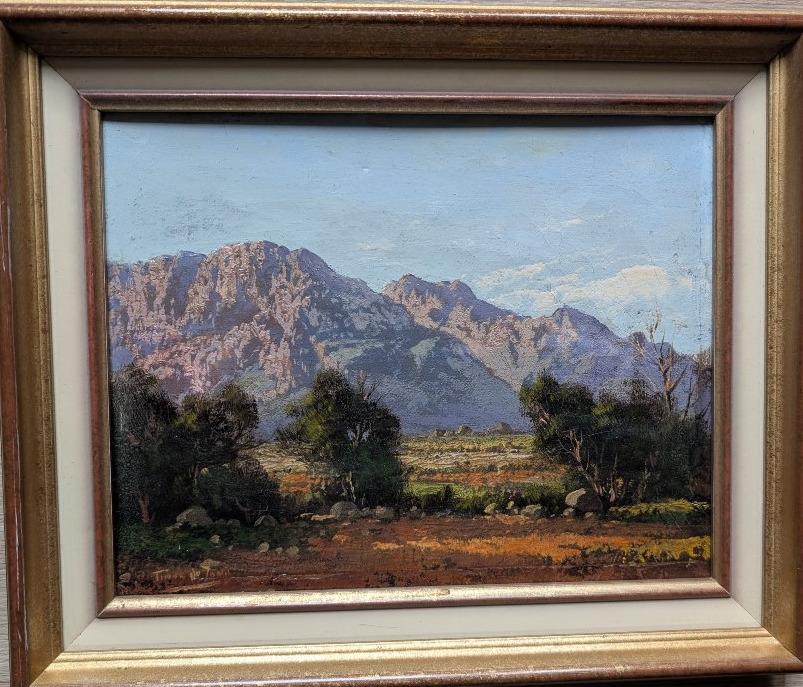 South African Mountain Tinus De Jongh