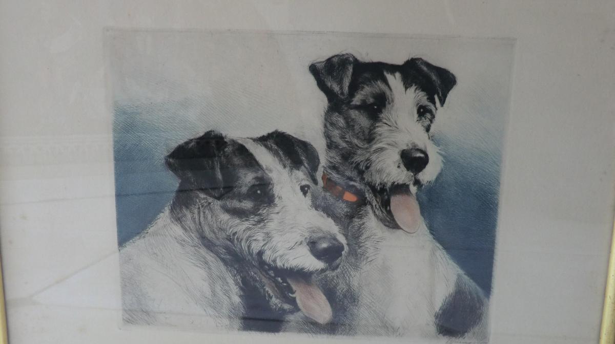 Paire De Gravures De Chasse Representant Des Fox Terriers Art Deco-photo-3