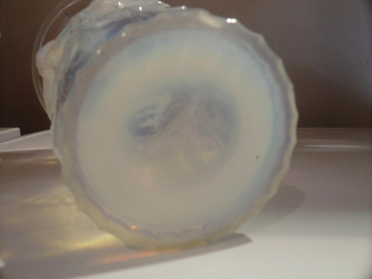 Perruches Vase By Verlux-photo-3