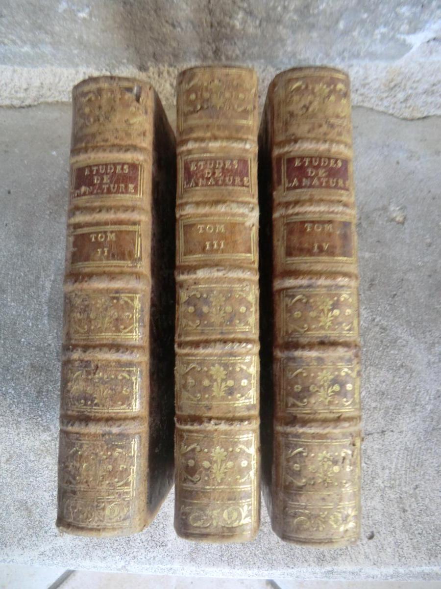 Etudes De La Nature Jacques Henri Bernardin De Saint Pierre 1787 En 3 Vol-photo-4