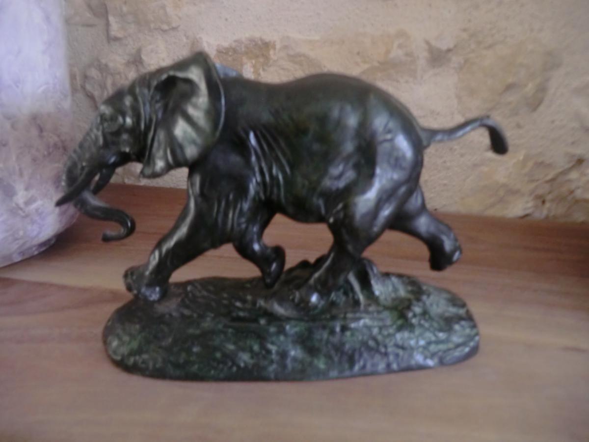 Elephant From Senegal Barye-photo-2
