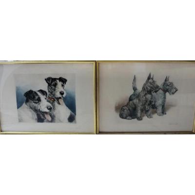 Paire De Gravures De Chasse Representant Des Fox Terriers Art Deco