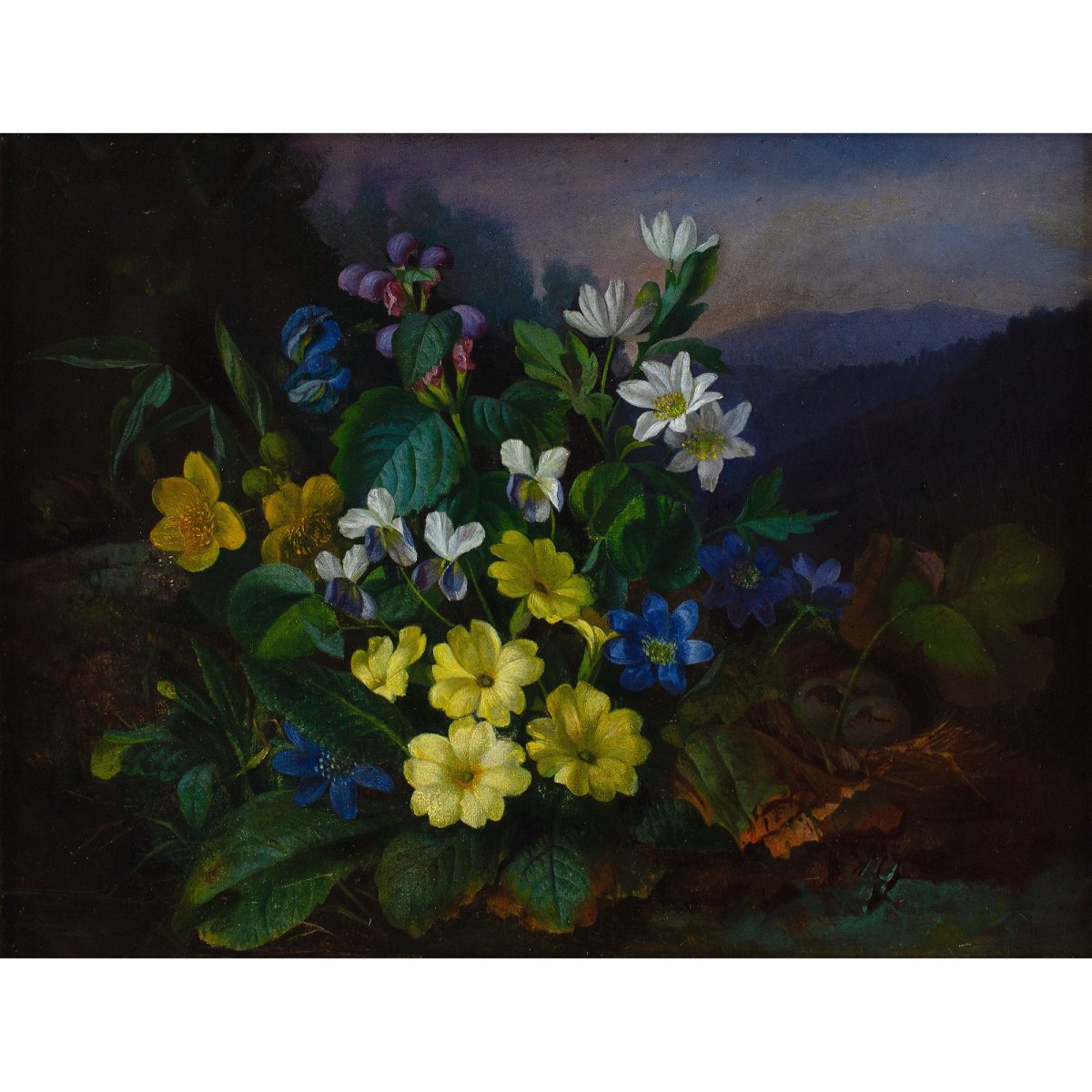 Franz Xaver Petter (Cercle), Nature Morte à La Flore Alpine-photo-2