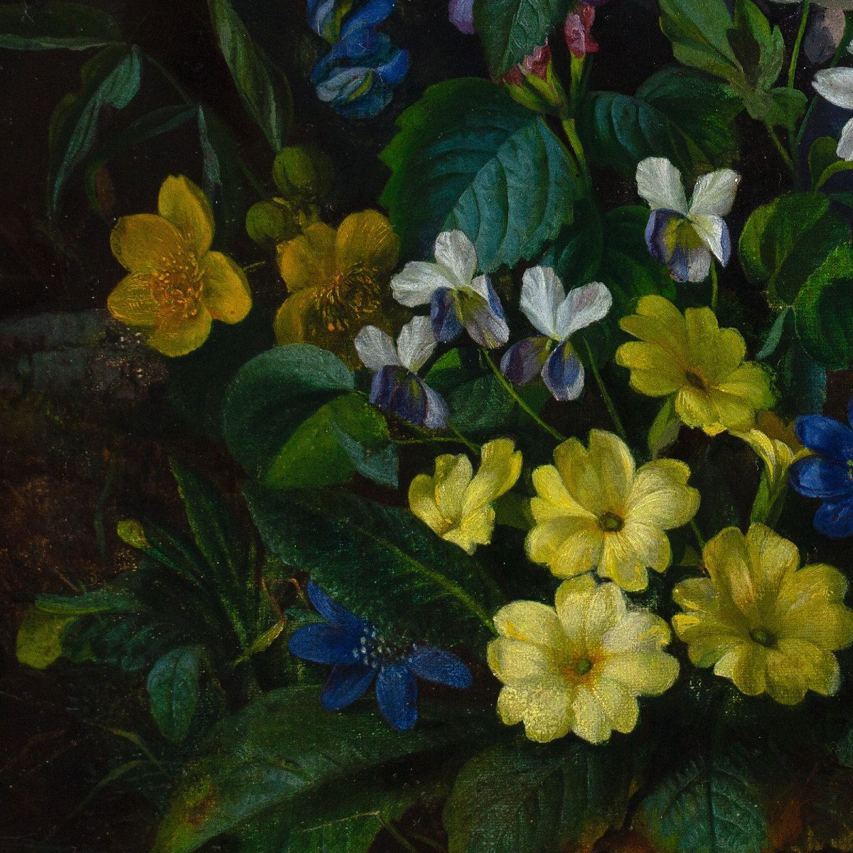 Franz Xaver Petter (Cercle), Nature Morte à La Flore Alpine-photo-4