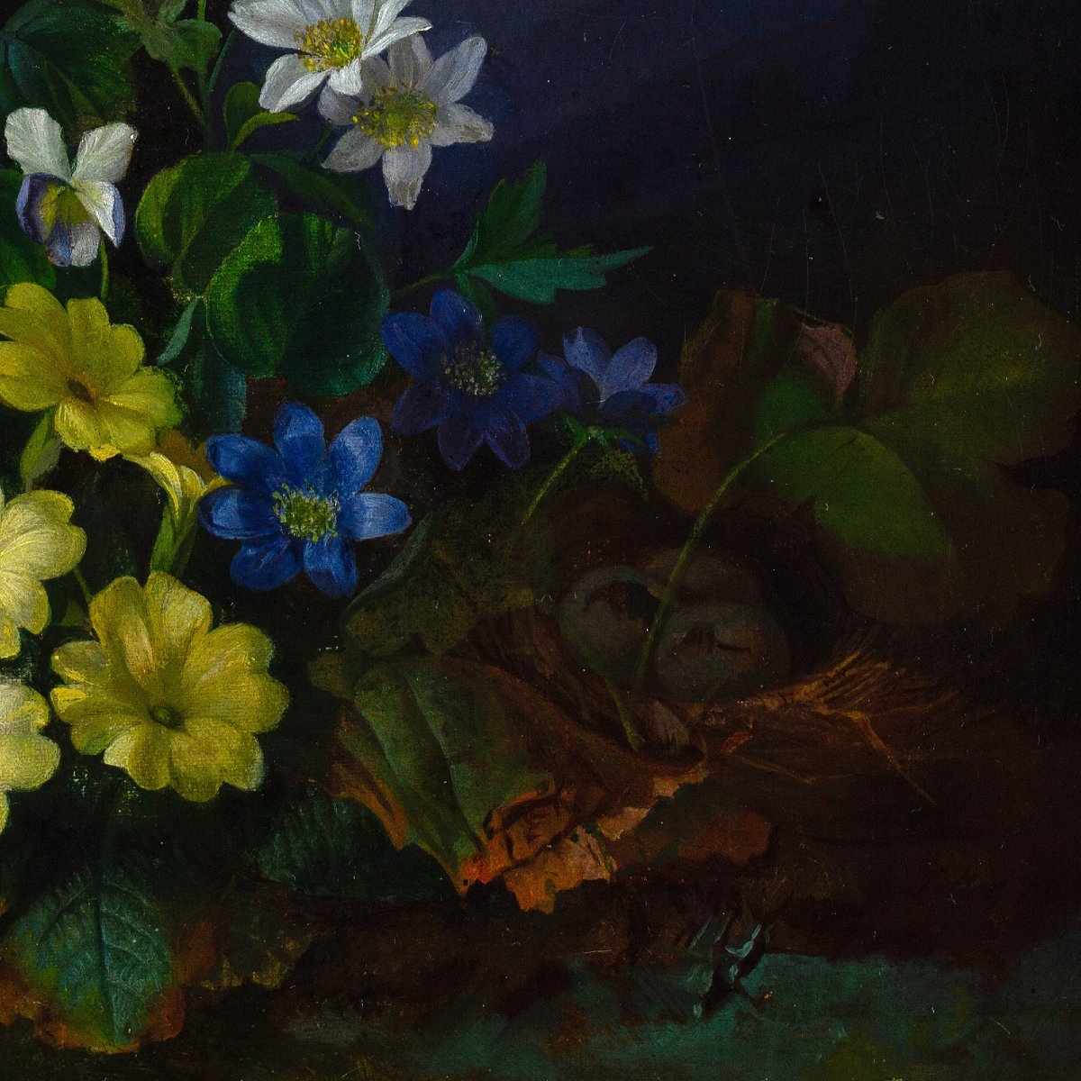 Franz Xaver Petter (Cercle), Nature Morte à La Flore Alpine-photo-5