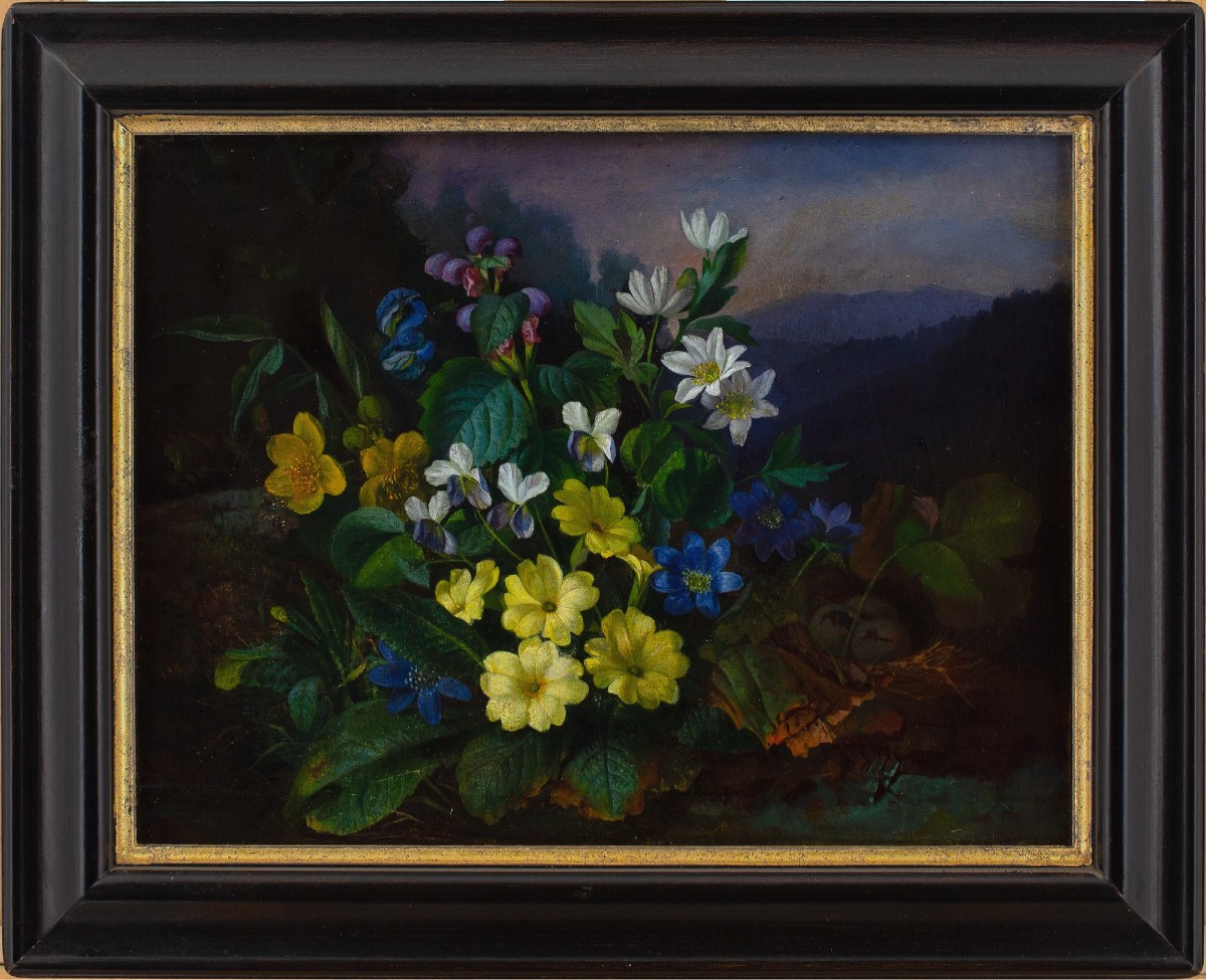 Franz Xaver Petter (Cercle), Nature Morte à La Flore Alpine