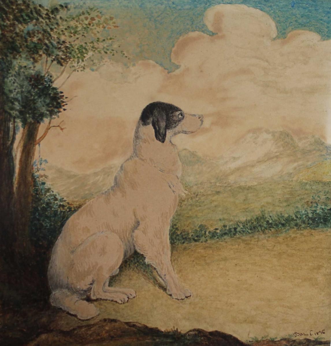 Drawing In Watercolor, Dog By Paul Baric, 1836-photo-2