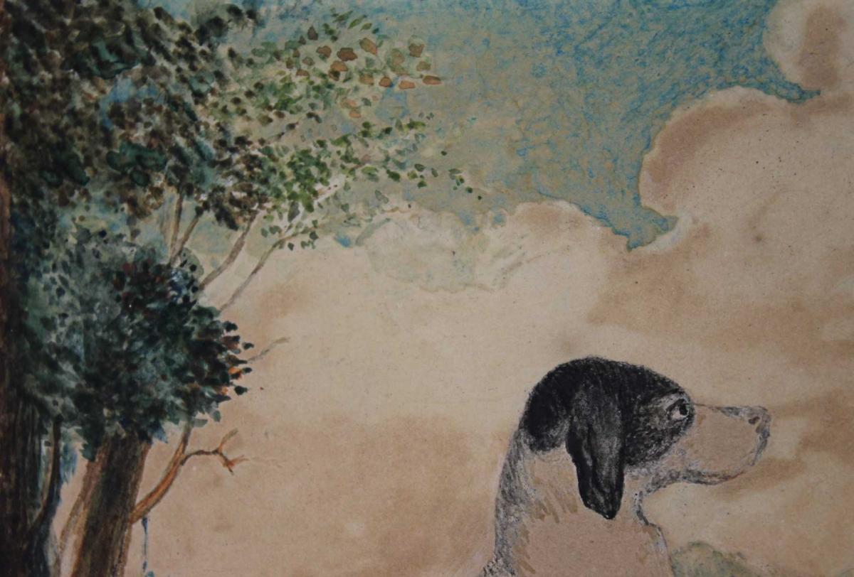 Drawing In Watercolor, Dog By Paul Baric, 1836-photo-3