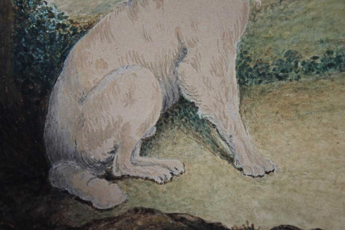 Drawing In Watercolor, Dog By Paul Baric, 1836-photo-4