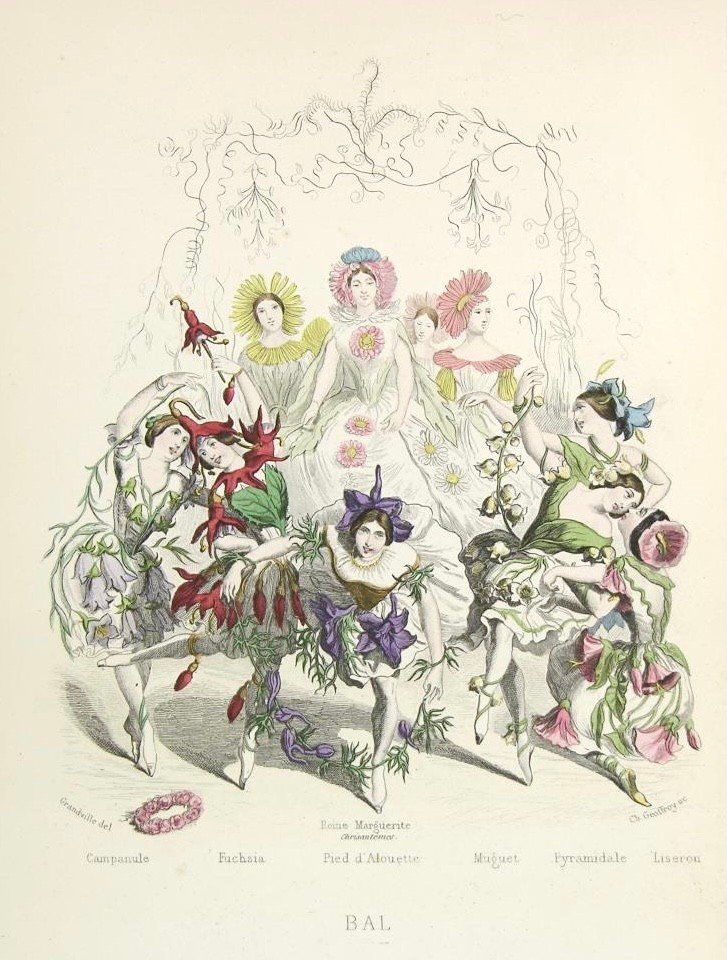 Gravure Issue Du Recueil « Les Fleurs Animées » De J-j Grandville, Édition De 1842-photo-2