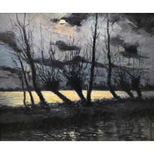 Clair de lune en Brière
