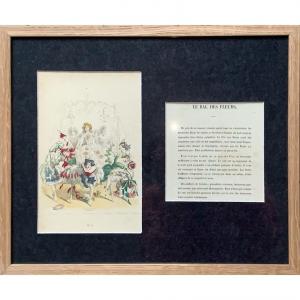 Gravure Issue Du Recueil « Les Fleurs Animées » De J-j Grandville, Édition De 1842