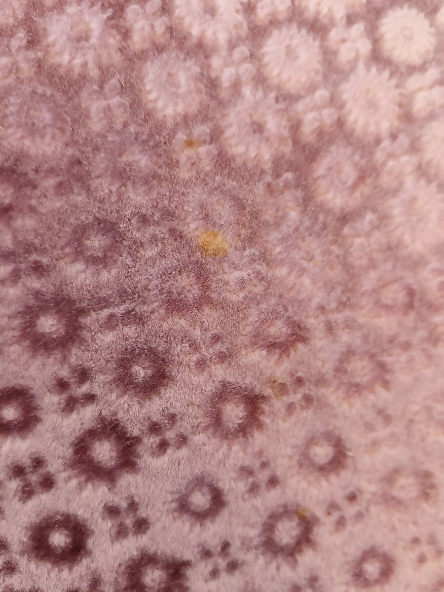 Le superbe canapé Lilla d'époque-photo-8