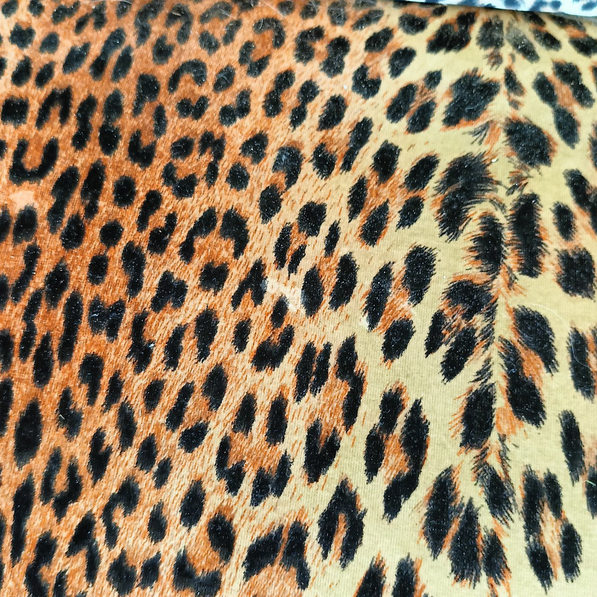 Canapé de style Biedermeyer avec garniture léopard-photo-3