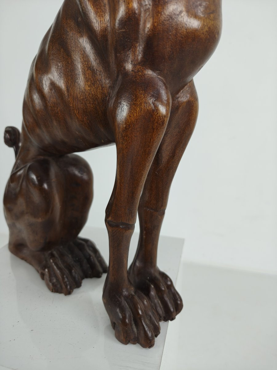 Hand-carved Wooden Greyhound Statue - 20th Century-photo-3