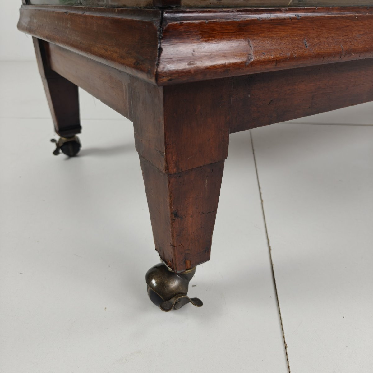 English Store Display / Shop Counter (1910-1920)-photo-1